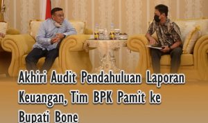 audit pendahuluan bpk