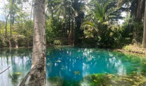 IMG-20251027-WA0221