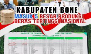 WhatsApp Image 2025-10-29 at 17.47.24