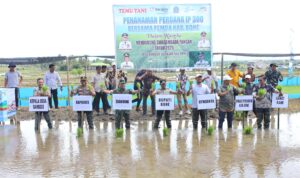 WhatsApp Image 2025-10-30 at 10.45.49