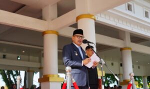 WhatsApp Image 2025-11-10 at 09.40.47 (1)