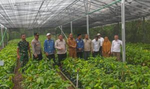 WhatsApp Image 2025-11-17 at 17.48.55