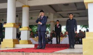 WhatsApp Image 2026-01-03 at 09.49.58