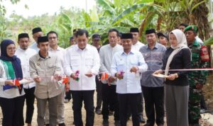 WhatsApp Image 2026-03-08 at 18.59.53